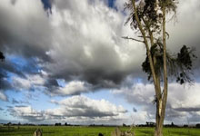 [英超]杜库雷右脚斜长传 恩迪亚耶撩射得分.