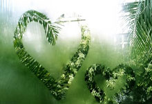 24球17助攻！B费成欧联历史制造进球最多的球员.