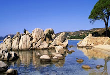 英超：阿申纳爆冷以0比1败给西哈姆.